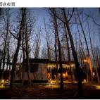 银杏林野奢帐篷（过夜）