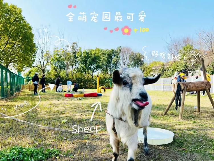 微信图片_20220323093450