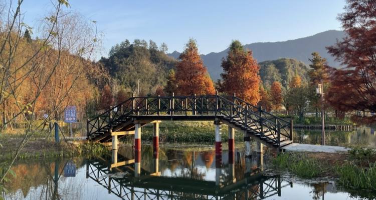 风景14