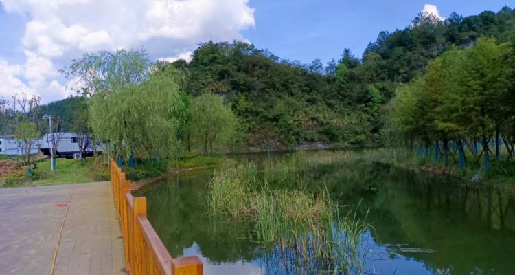 风景20(4)