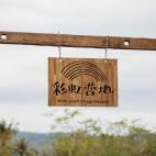 单人露营门票