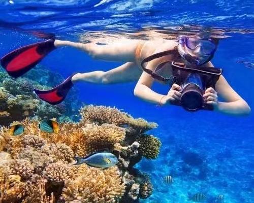 微信图片_20221018120349