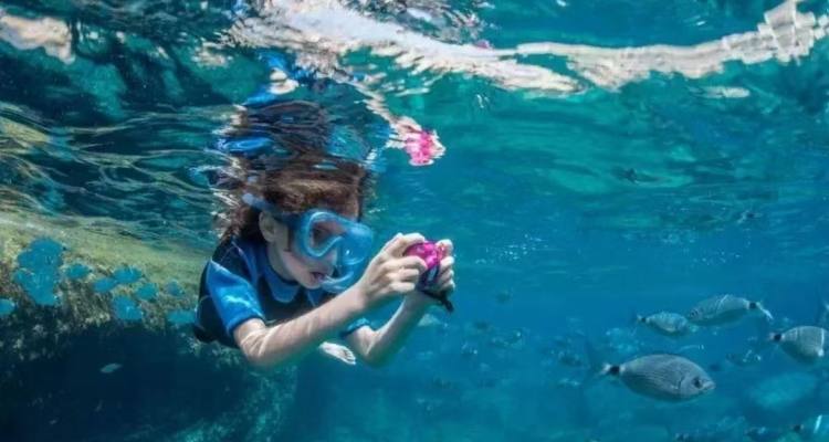 微信图片_20221018120356