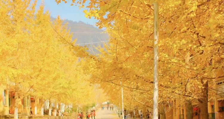 微信图片_202211091059591