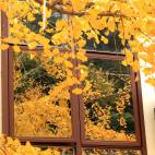 2天1夜森系露营体验