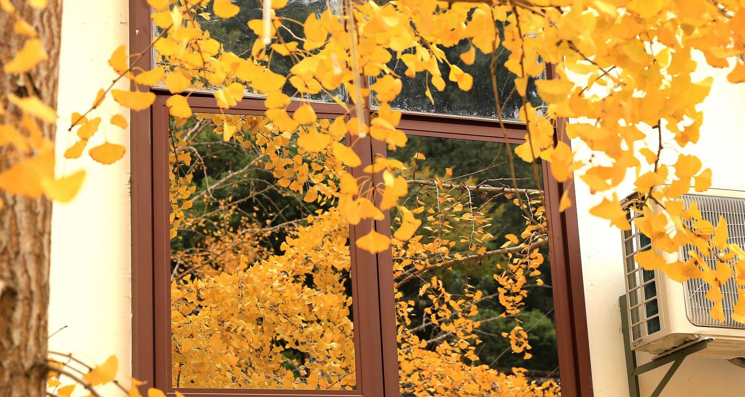 微信图片_202211091100002