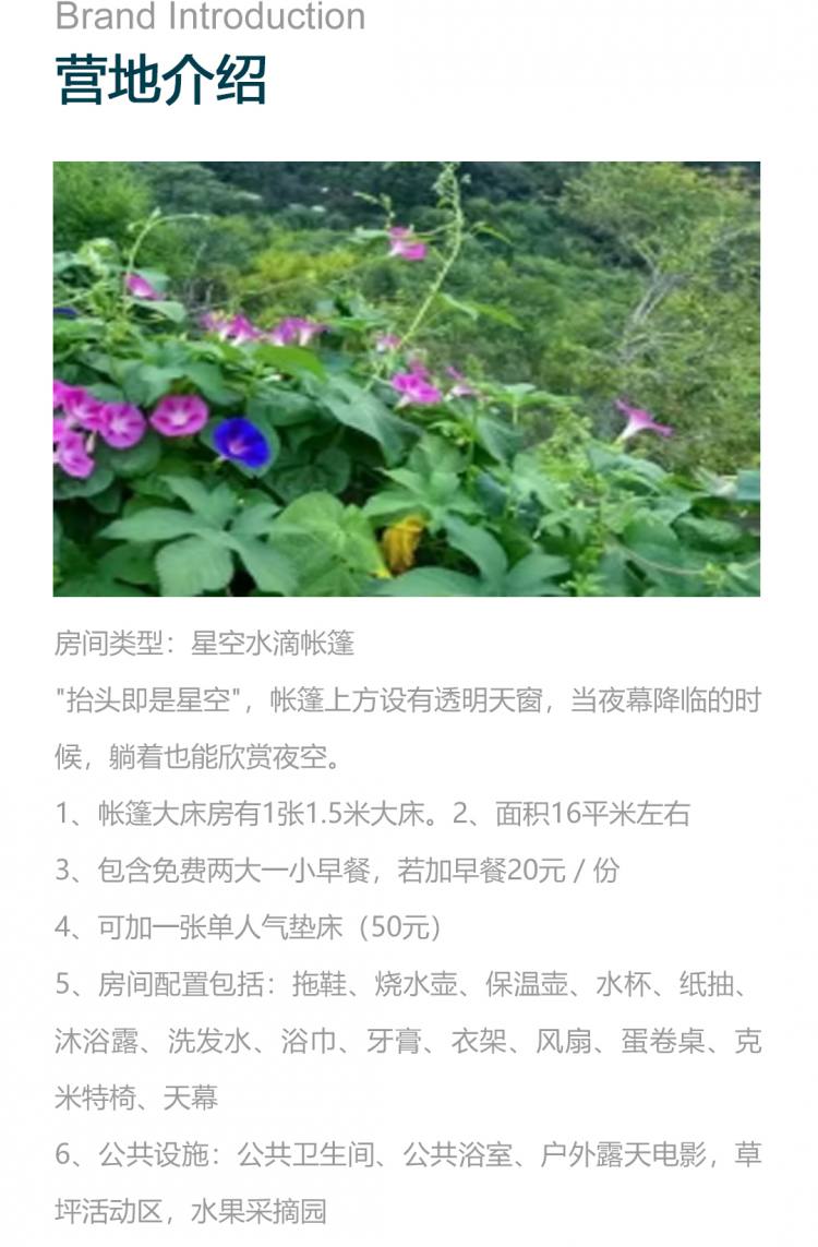 四方营地_04