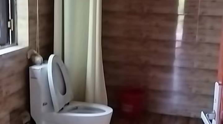微信图片_20221227171848