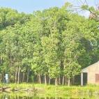 【我是探险家】轻松自然5项户外游戏活动在实践中成长野奢帐篷住宿2天1晚(一大一小）