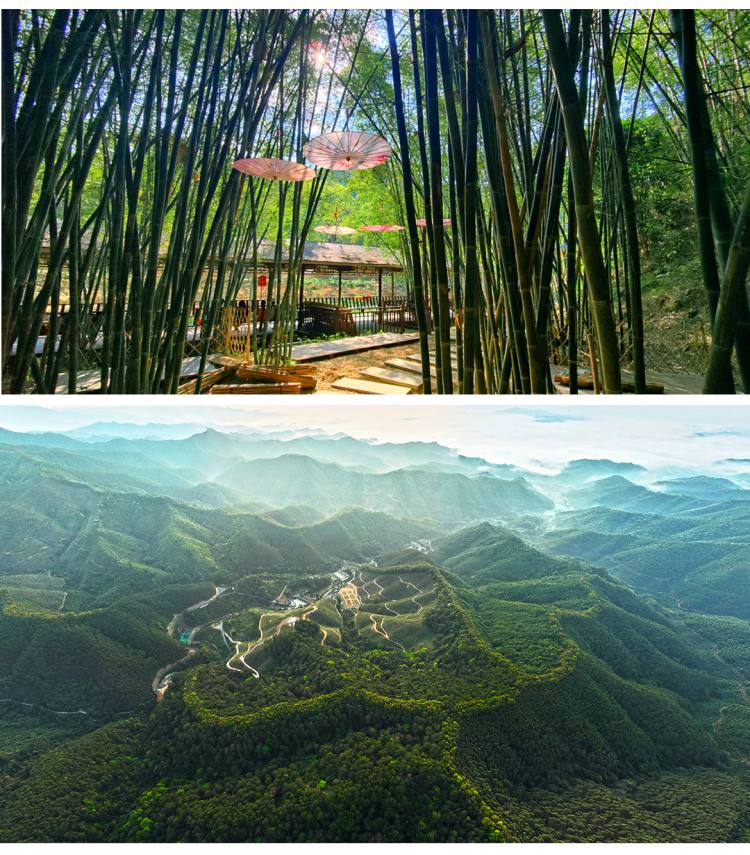 六角泉森林养生基地_06