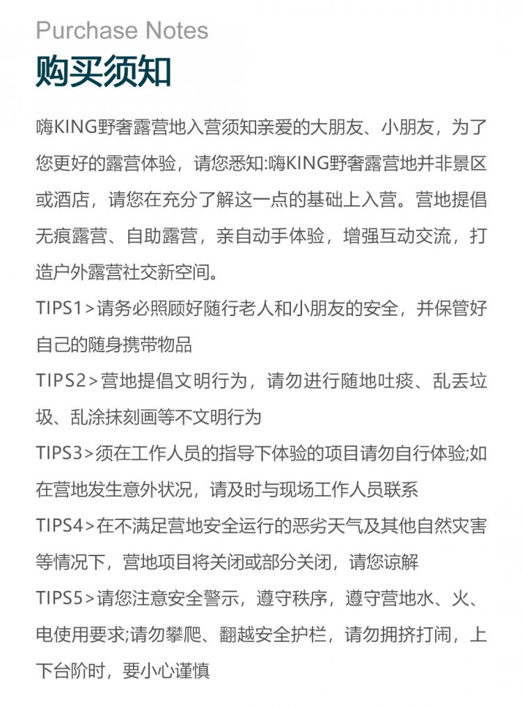 天津小熊与树营地111_03