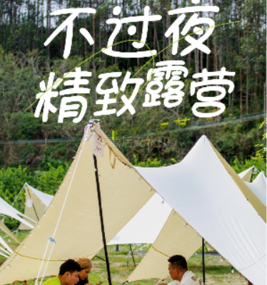 微信图片_20250205134902