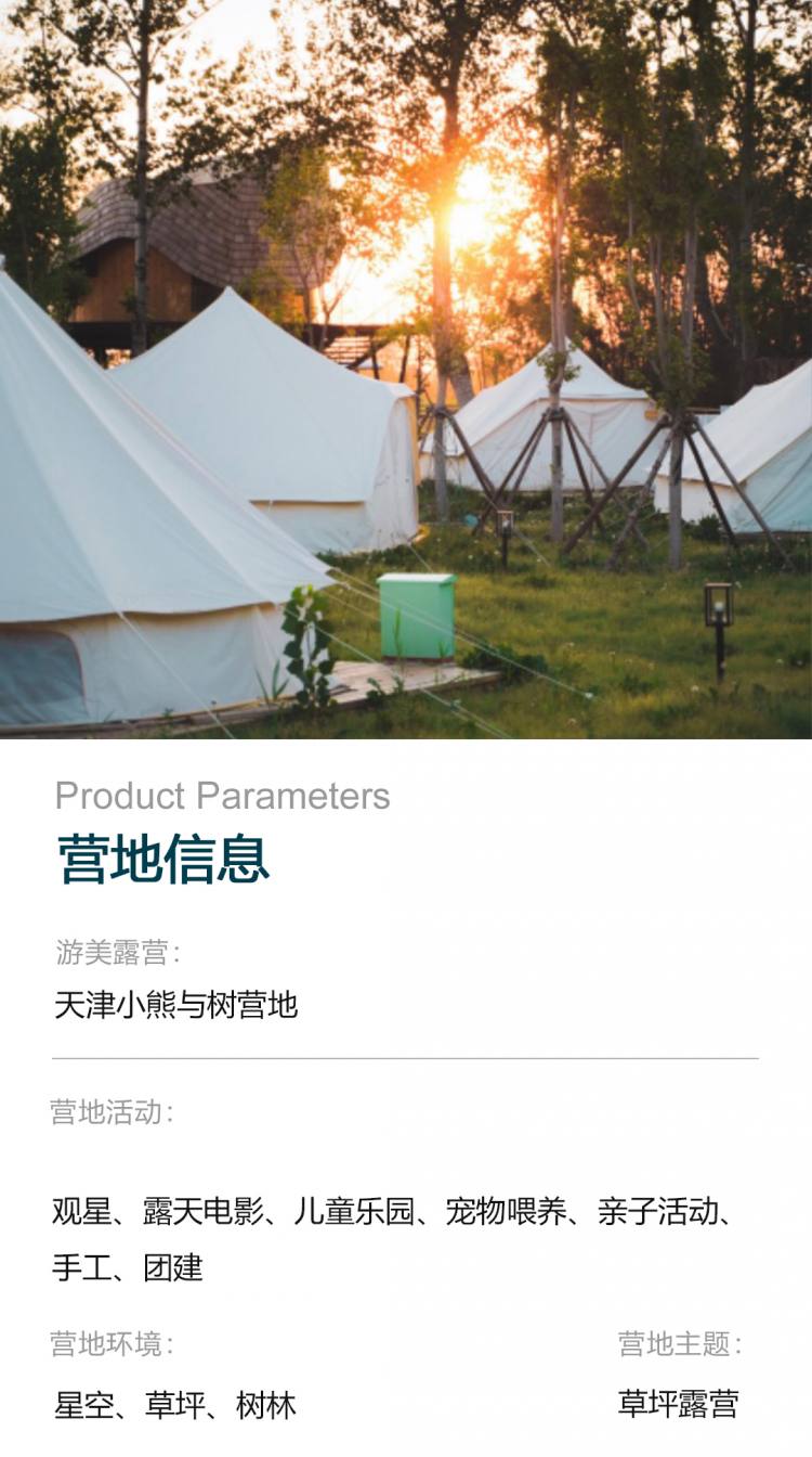 天津小熊与树营地111_01