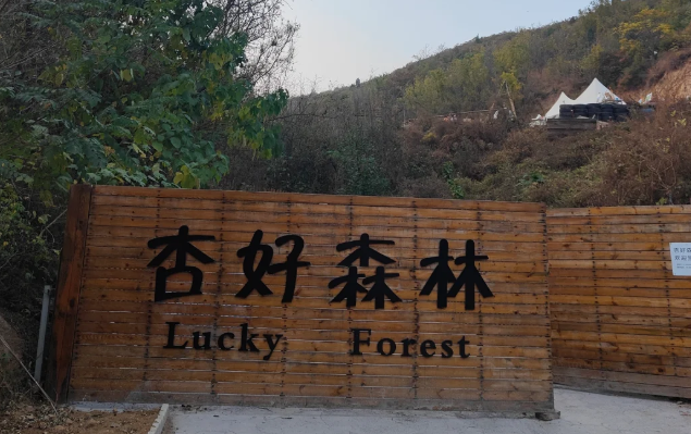 微信图片_20250402193551