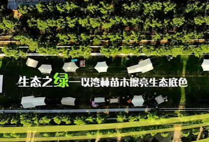 微信图片_20250412115049