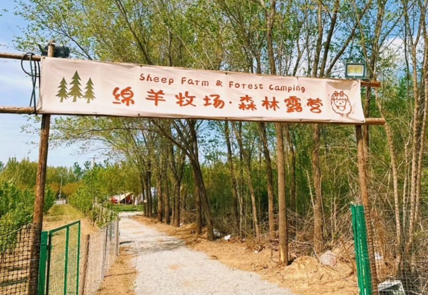 微信图片_20250412123143