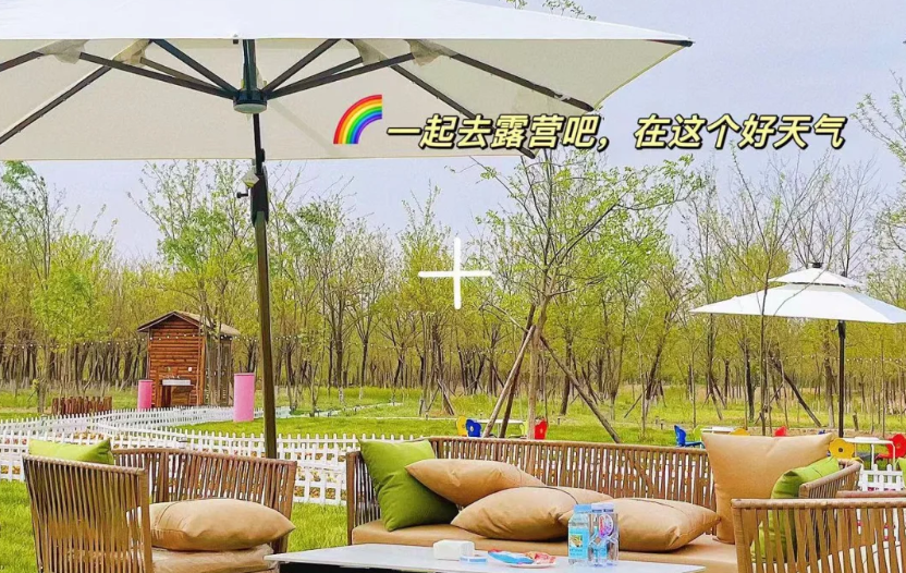 微信图片_20250411234140