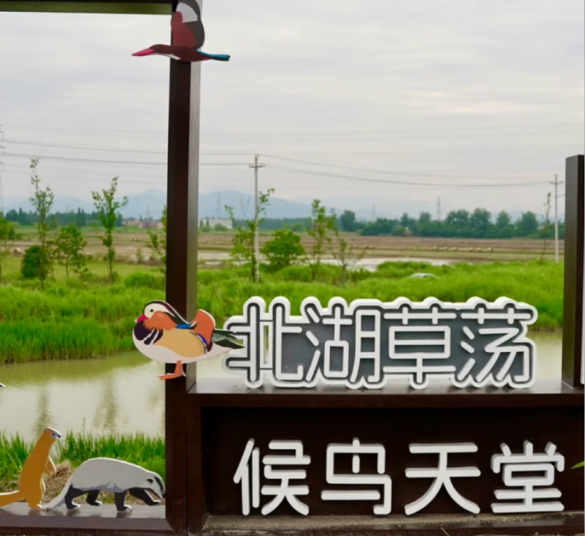 微信图片_2025-04-18_152335_346