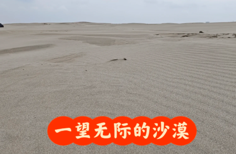 微信图片_20250429103151