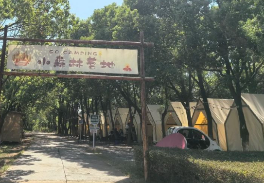微信图片_20250501104004