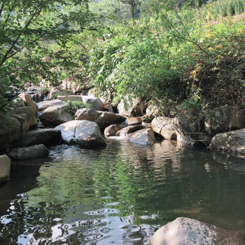 【亲子游】桐庐秘境戴家山8号民宿_9_沈小暖_来自小红书网页版