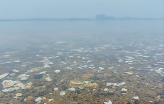 微信图片_20250506141700
