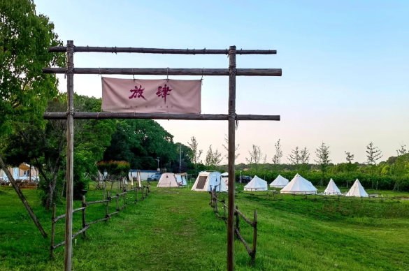 微信图片_20250506134910