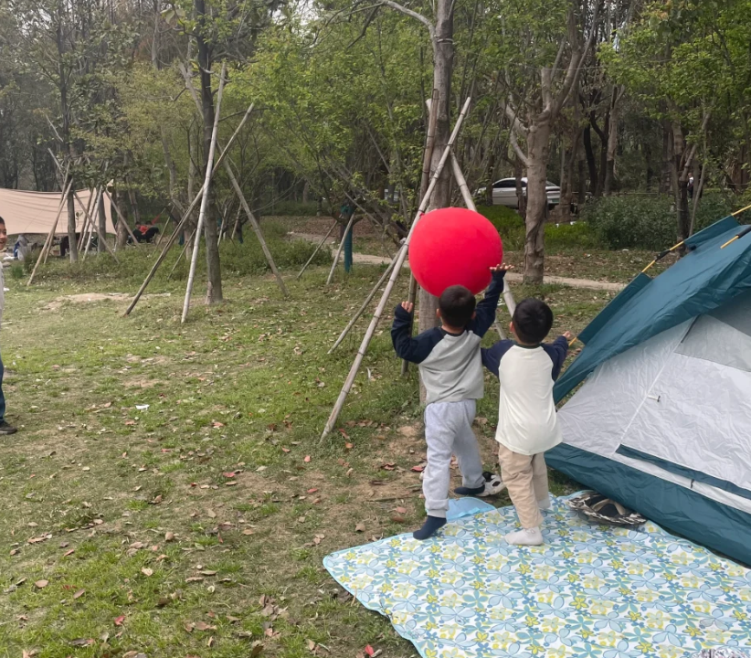 微信图片_2025-05-07_182231_208