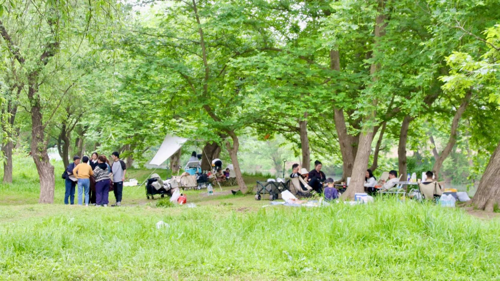 太清凉舒服了❗️杭州超预期的免费遛娃露营地_8_刀爸带你去旅行_来自小红书网页版