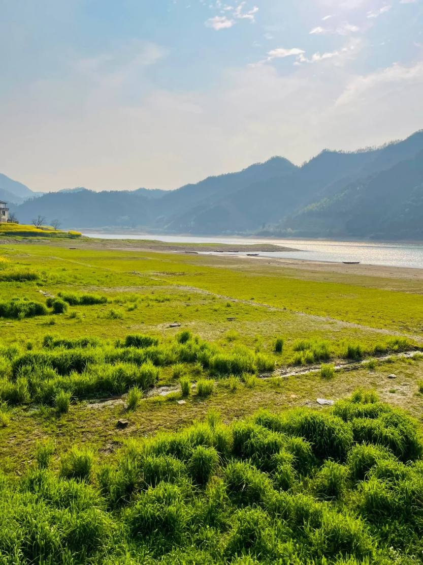 这里是千岛湖⛺免费露营圣地️_3_凌晨游记_来自小红书网页版