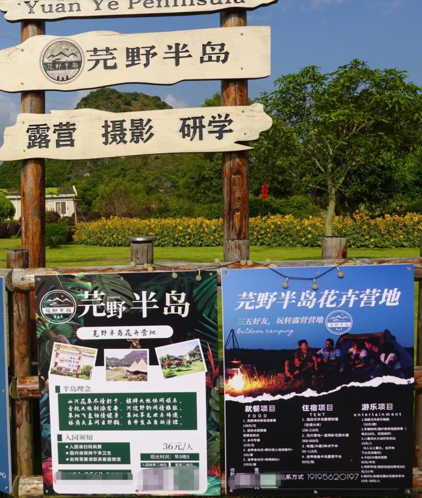 475期 秋日团建好去处：芫野半岛花卉营地_12_武鸣妖妖_来自小红书网页版