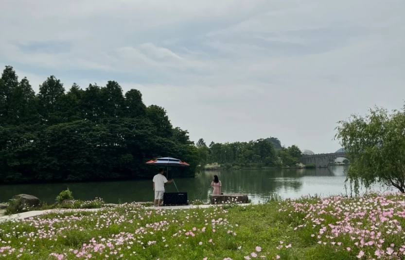 湘湖一个免费的月见草花海露营地⛺️_2_安妮日记_来自小红书网页版