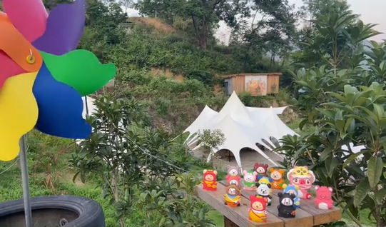微信图片_20250510141740