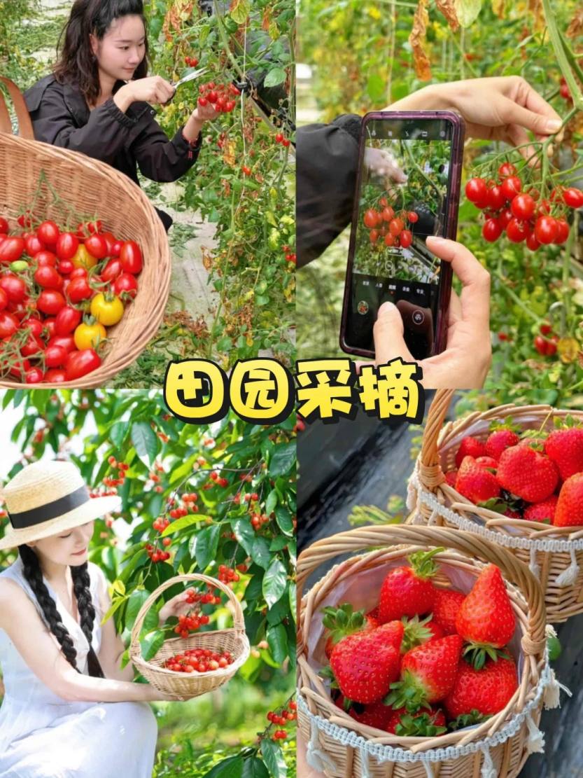 蓝海小镇团建_露营烧烤+徒步寻宝✅解锁野趣_3_萧山蓝海小镇_来自小红书网页版