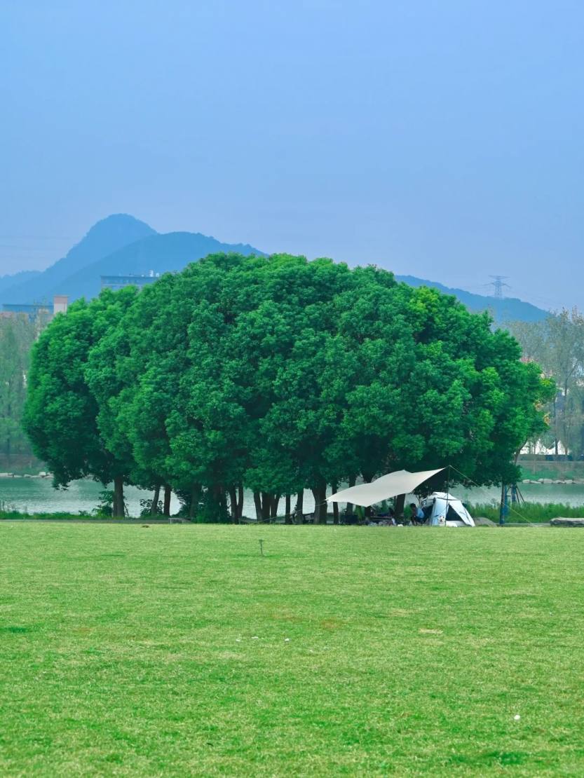 杭州出发0.5h｜开车直达能生                    
                    </div>
                </div>
                                <div class=