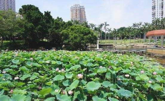 微信图片_20250512211628