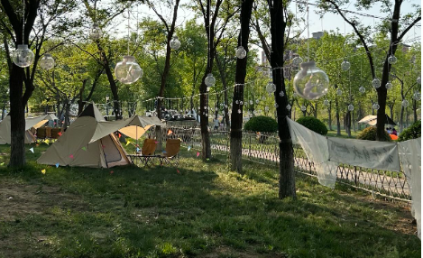 微信图片_20250514161537