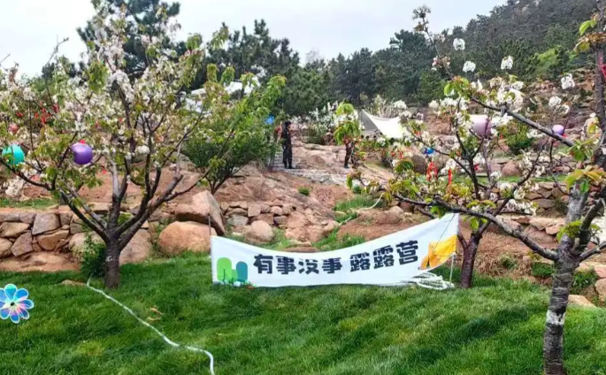 微信图片_20250519105451