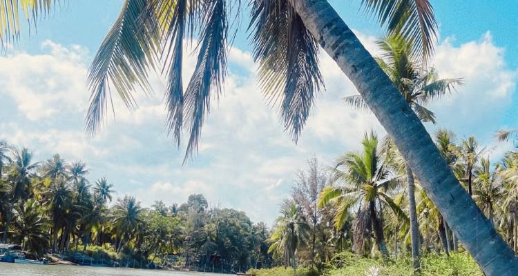 微信图片_2025-05-21_160257_675