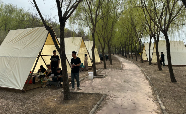 微信图片_20250528114033