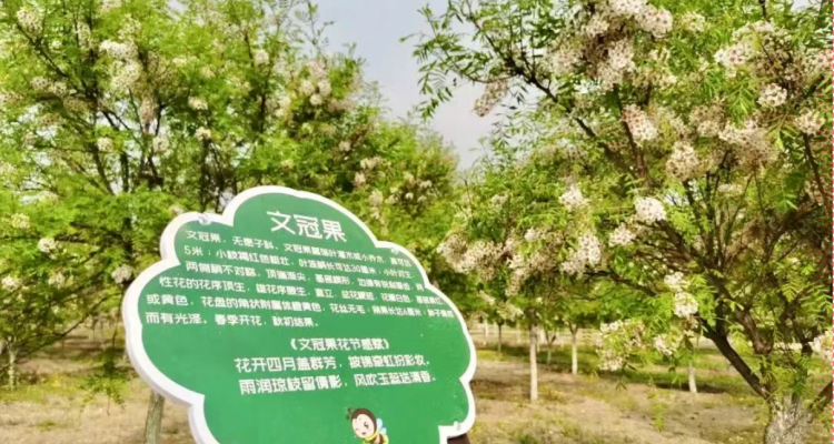 微信图片_2025-04-28_121059_974