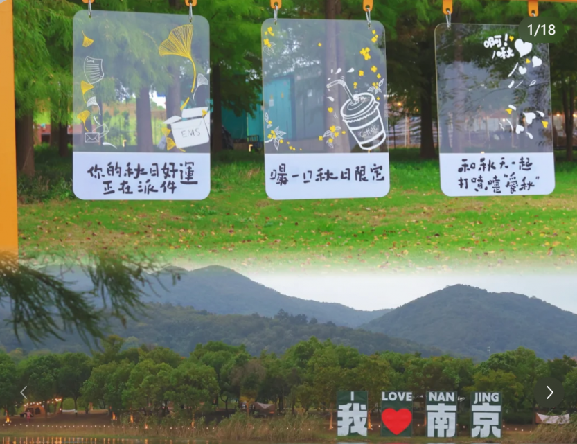 微信图片_20250701171018_284
