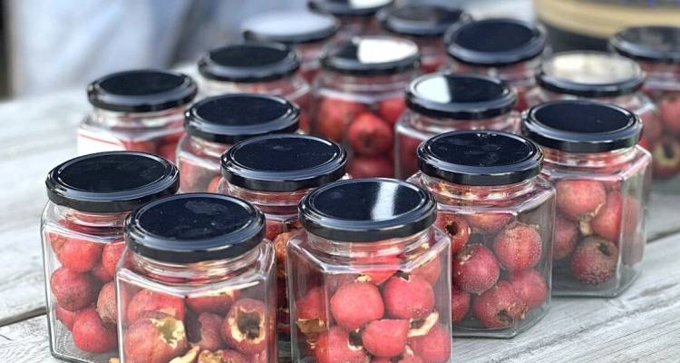 bfdcf4132716b79ef1557827c216a85