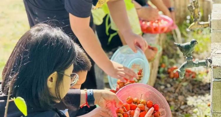 e70dc9f3928d9dcaa9fcb716fb53c6f