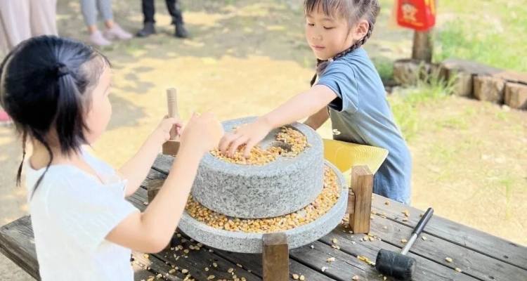 3e8cdba787ea987d3dbf3e1cef90f7e