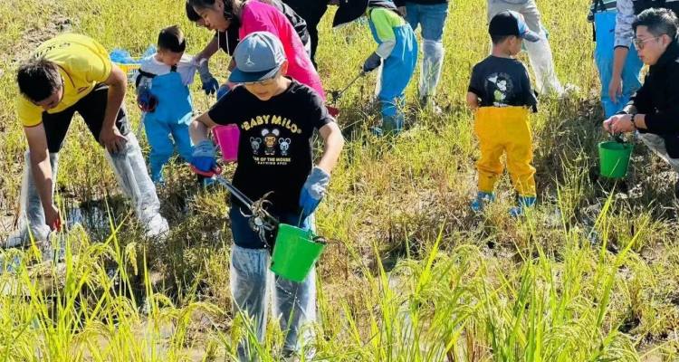 460db0de007f331b19d21eeb67b0ced