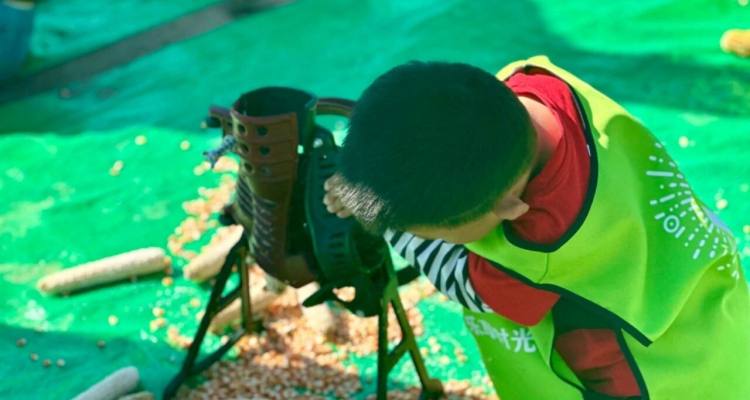 65b2a8ebb6db7e0302d38a1d882e866