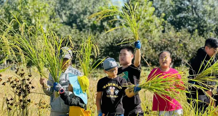 1711365db586f6f59a5e3e76b1b6367