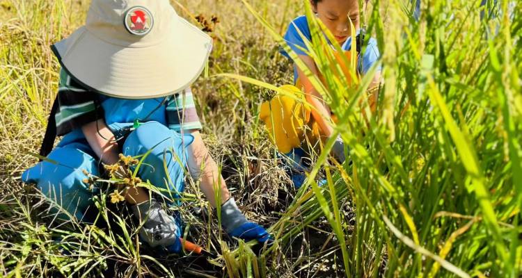 953ac64314a0f52949aeea1ed5f8291