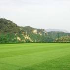 【全日养修】深度调理一日营：营养餐+砭术养生（10人起订）